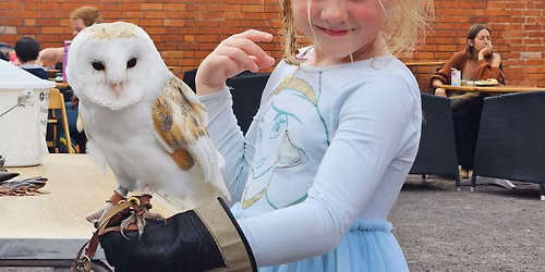 Birds of Prey