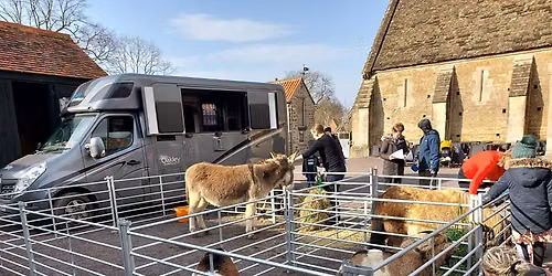 Farmyard Fun - Petting Zoo