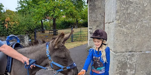 Donkey Day