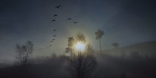 Winter Solstice celebration