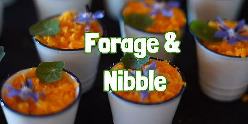 FESTIVE FORAGING in Glastonbury (Somerset)
