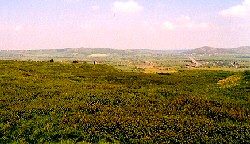On the summit of the Knoll - Mendips behind