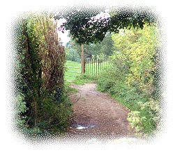Dod Lane