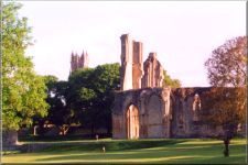 Abbey20