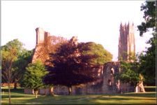 Abbey22