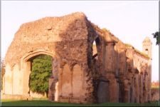 Abbey29
