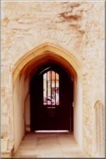 Abbey55