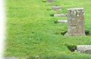 Refectory ruins
