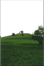 BurrMump15