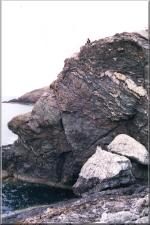 Coast05 (Lulworth)