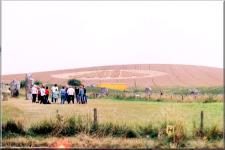 Cropcircle1