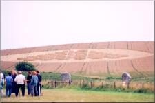 Cropcircle2