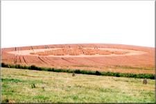 Cropcircle3