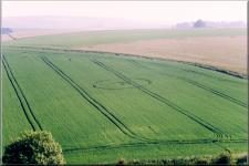 Cropcircle4