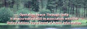 An acccredited UN NGO