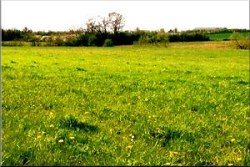 A Somerset field