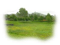 Glastonbury Tor from Brides Mound