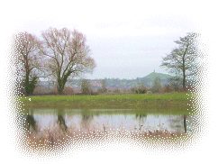 Glastonbury Tor from the Somerset Levels