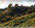 Chalice Hill