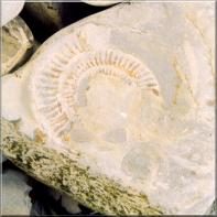 Kilvebeach2