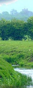 The Brue at Westhay, and Glastonbury Tor