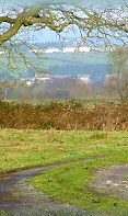 Near Meare