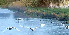 Clear all flight paths - we