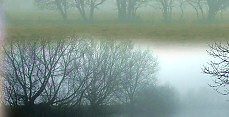 Mists on the Moors
