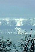 Misty moors seen from near Wedmore