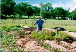 Mulching