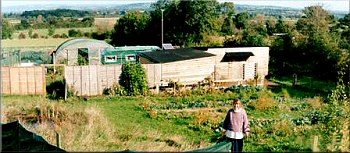 Avalon Permaculture Gardens