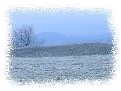 Looking toward Glastonbury in the winter mists