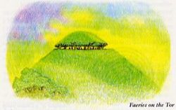 Faeries on the Tor