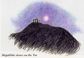 Megalithic stones on the Tor