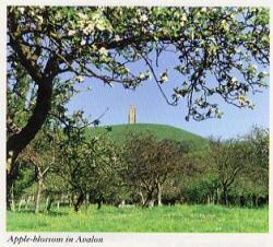 Isle of Apples