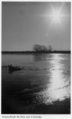 Avalonian floods