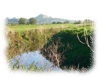 Glastonbury Tor