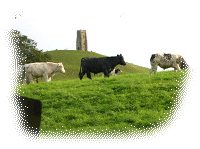 The Tor from Chalice Hill