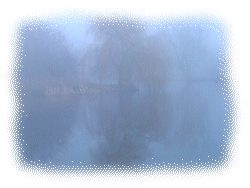 On the Somerset Levels