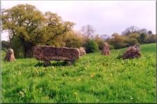 Pilton1