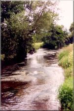 River3