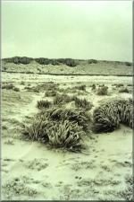 Snow2