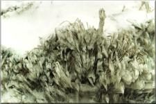 Snow3