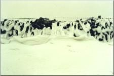 Snow6