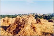 Somerset03