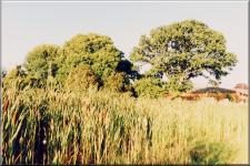 Somerset04