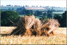 Somerset05