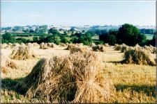 Somerset07
