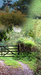 Gate to the Tor Fair Field