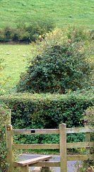 Stile on the path from Dod Lane